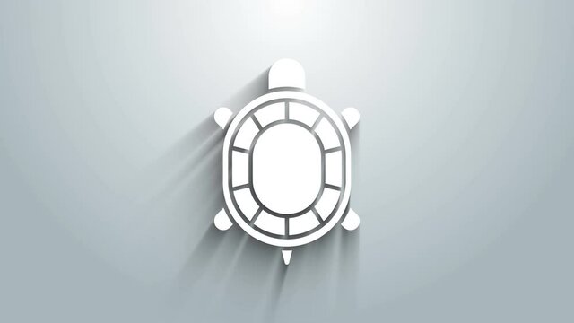 White Turtle icon isolated on grey background. 4K Video motion graphic animation