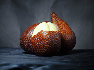 thorny palm isolated on black background
