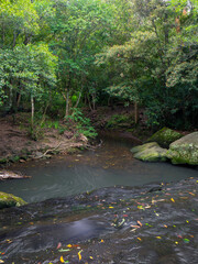 Fototapeta na wymiar Small creek surrounded by green trees.