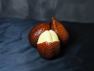 thorny palm isolated on black background