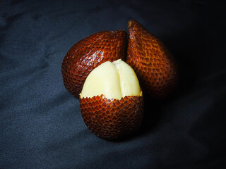 thorny palm isolated on black background