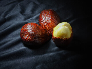 thorny palm isolated on black background