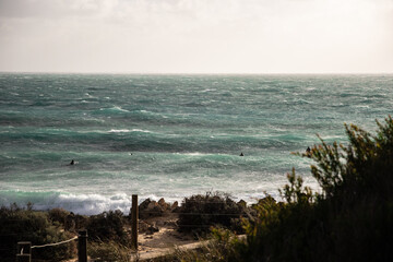 Windy Surfing at Cove