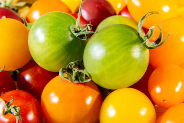 背景素材　カラフルなプチトマト