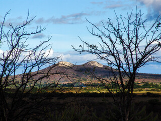 viwe of twin hill adn semiarid vegetation in Pernambuco state, northeastern of Brazil