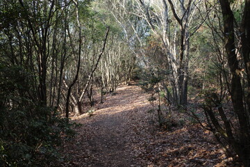 日本の岡山県の王子が岳の景色