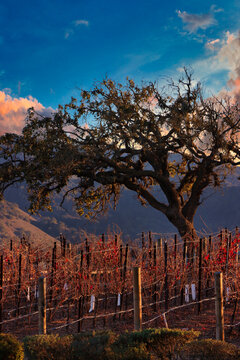 Visiting Solvang In California At Christmas Time