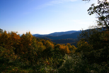 autumn in the mountains