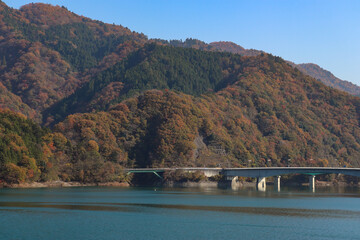 宮ヶ瀬湖の紅葉（神奈川県清川村）