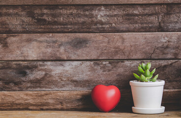 Valentine red heart decorated with cactus pots on wooden rustic background
