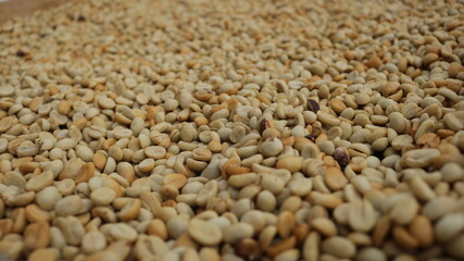 Coffee beans being able to use background
