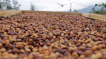 Coffee beans being able to use background