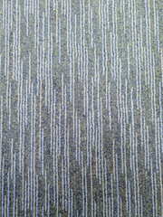 pettern texture of carpet background.