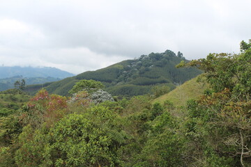 Fototapeta na wymiar the mountains of Colombia