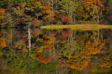 湖面に映し出された赤や黄色の紅葉風景