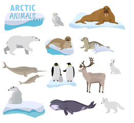 Arctic creature cartoon on blue background. Polar animals. Vector collection of polar animals and birds, including polar bear, seal, walrus, polar fox, reindeer, penguin.