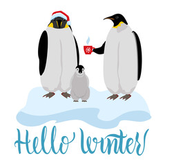 Obraz premium Cute Penguins wearing Santa Claus hat with a cup of tea standing on on the ice. Flat design vector illustration. Hello winter calligraphy lettering