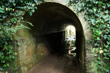 Dark Tunnel made by Antique brick wall, Grunge stone texture, in Sarushima, Kanagawa, Japan - 神奈川 猿島 蔦の絡まったトンネル
