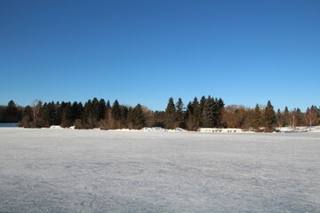 Frozen Lake, William Hawrelak Park, Edmonton, Alberta