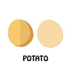 Vector Illustration Flat Potato isolated on white background , Raw materials fresh vegetable