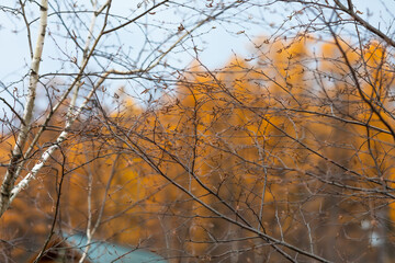 Photography of Hokkaido 
