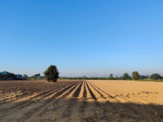 plowed field in autumn