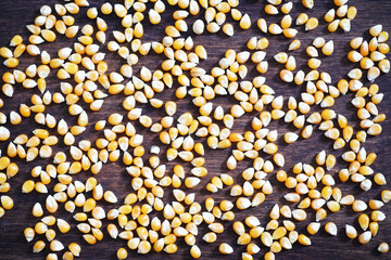 Group of yellow raw corn kernels sweet corn. Grain seeds ingredient lden maize kernel. Wooden table ripe popcorn background.