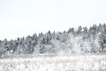 Winter landscape of country fields and roads