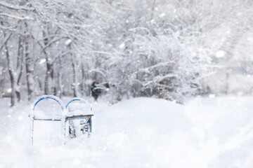 Winter landscape. Forest under the snow. Winter in the park.