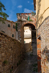 Fototapeta na wymiar Gasse in der Altstadt von Loro Ciuffenna in der Toskana in Italien