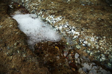 Water bubble foam on beach scene represent ecology and nature related concept idea. 