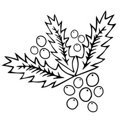 Black outline hand drawing vector illustration of a carved Christmas holly plant isolated on a white background