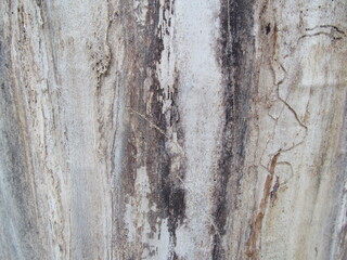 old wood texture