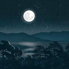 Night landscape.  Forest at full moon