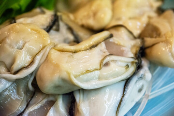牡蠣鍋の具材、生牡蠣。オイスター。