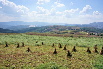 Dongchuan Red Earth Multi-Colored Terraces - Red Soil, Green Grass, Layered Terraces