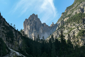 A close up view on the steep slopes of Italian Dolomites. The slopes are stony, partially covered with small plants. A few tree branches in the view. Sunny and bright day. Shap and high mountains