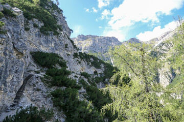 A close up view on the steep slopes of Italian Dolomites. The slopes are stony, partially covered with small plants. A few tree branches in the view. Sunny and bright day. Shap and high mountains