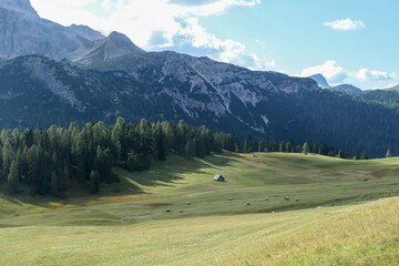 A panoramic view on the high Italian Dolomites. Sharp and steep mountain slopes. Lush green plateau around with some wildflowers and trees growing in between. A few clouds in the back. Serenity