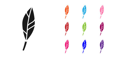 Black Magic feather icon isolated on white background. Set icons colorful. Vector. © Vadim