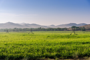 Cultivation land and nature of Saudi Arabia