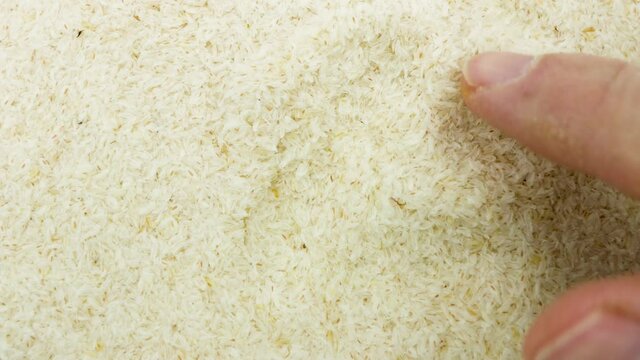 Supplement for intestinal transit, water soluble fiber, plantago ovata husks, blond psyllium, Psyllium Husk