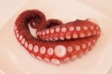 茹でタコ、刺身用、蛸、タコの足、白背景、日本の食べ物、和食、日本料理、ボイルした、クローズアップ、料理、背景