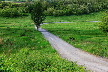 A winding road among green fields