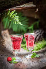 Tasty tincture made of wild strawberry and alcohol