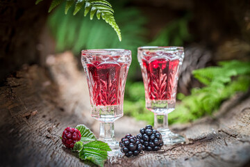 Sweet tincture made of alcohol and blackberries
