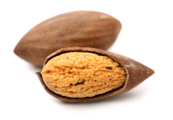 Torreya grandis seeds nut on white background