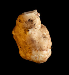 Ginger root isolated on black