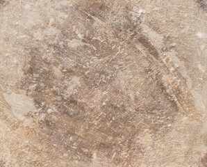 Brown Dry Skin Texture