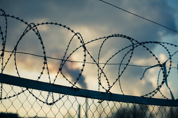 Barbed wire on the background of the plant